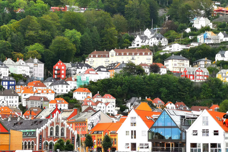 Tour a piedi di Bergen (privato)