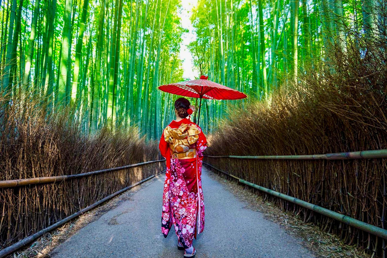 كيوتو/نارا: جولة عائلية ممتعة وثقافية بالسيارة مع خدمة التوصيل من الفندق