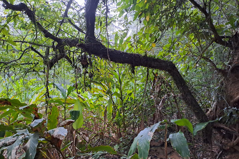 Santa Cruz: Wildlife Sanctuary and Preservation Park Tour