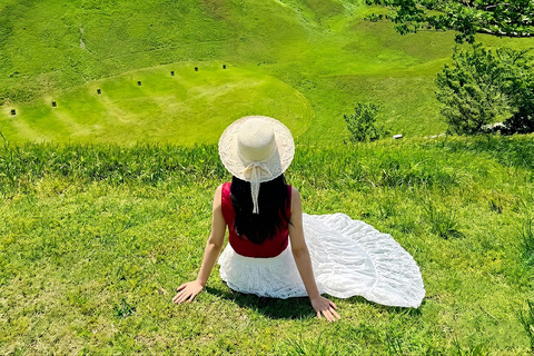 Small Group Day Tour:Omuro Mountain & the Izu Scenic Railway Hotel Transfer Option
