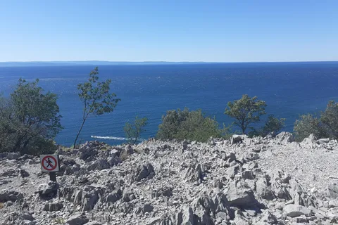 El camino de Rilke