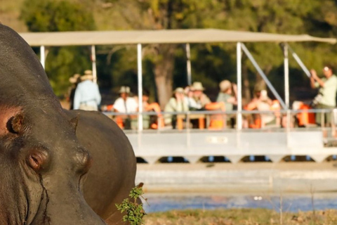 Kasane: 2-Day Chobe National Park Safari - Big Game