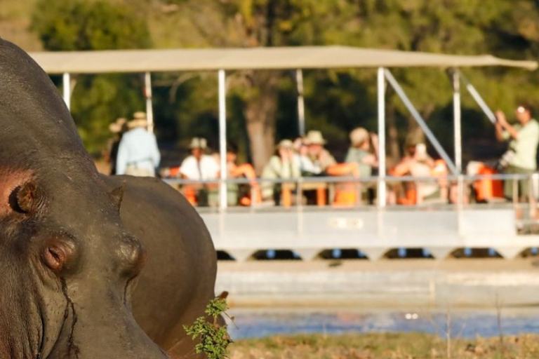 Kasane: 2-Day Chobe National Park Safari - Big Game