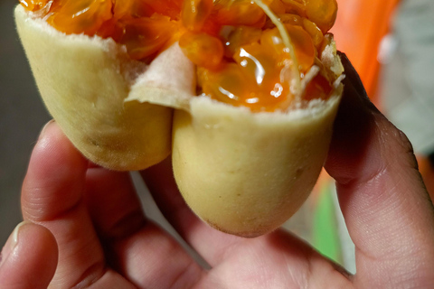 La Paz: Street Food morning tour-Sajra hora