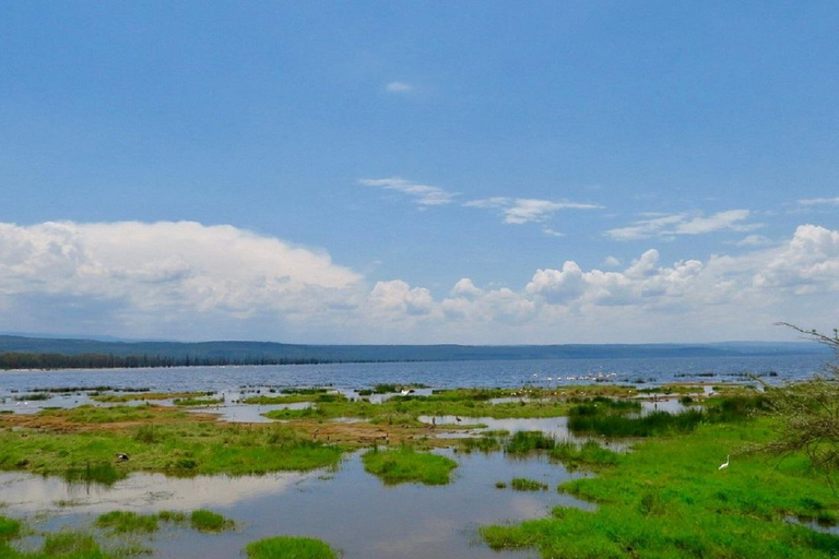 Da Nairobi: escursione al Parco Nazionale del Lago NakuruEscursione al Parco Nazionale del Lago Nakuru senza biglietto d&#039;ingresso