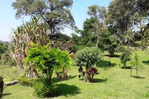 Kandy Top City Sights & Agro Tech Park Visit 4-Hours Tour Kandy Top City Sights visit -01