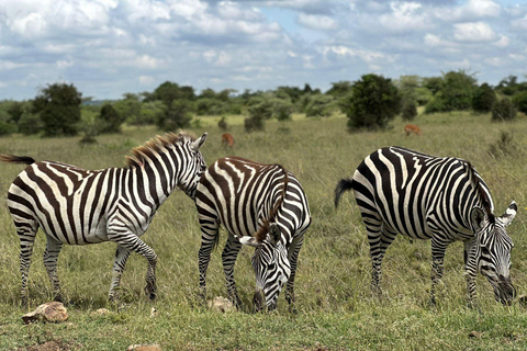 Nairobi National Park Safari 4x4 Car–Personalized Experience Shared Guided Game Open roofed 4x4 Van