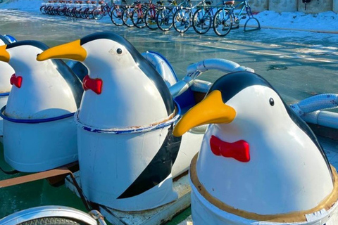 من سيول: جولة رومانسية في بلاد العجائب الشتويةجولة رومانسية في بلاد العجائب الشتوية من سيول الموسم