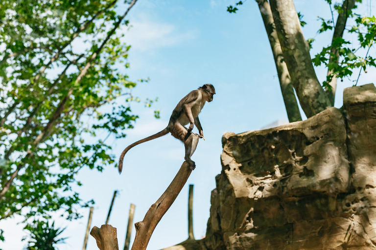 Barcelona: 1-Day Ticket to Barcelona Zoo