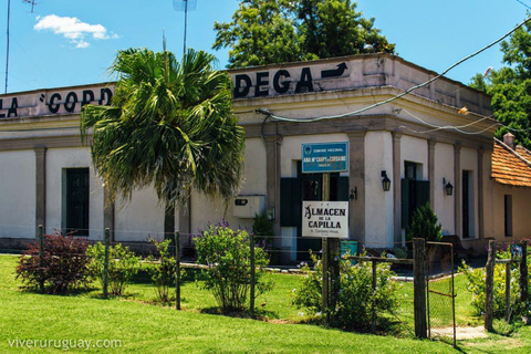 Almacén de la Capilla - doświadczenie winiarskie w CarmeloDoświadczenie i transport z Colonia del Sacramento