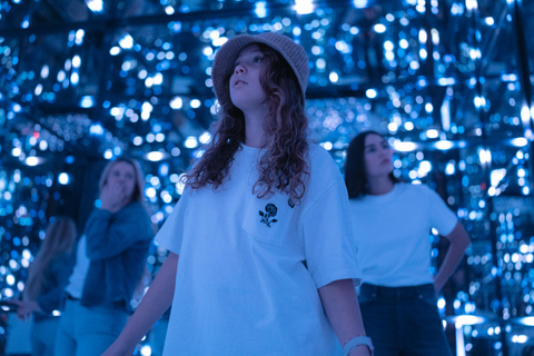 Varsovie : billet d&#039;entrée pour le musée Melt