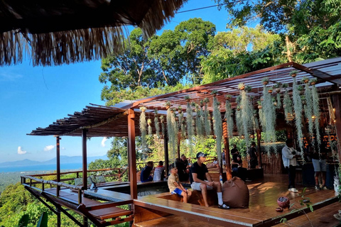 From Koh Samui: Tree Bridge Zipline and Café Experience