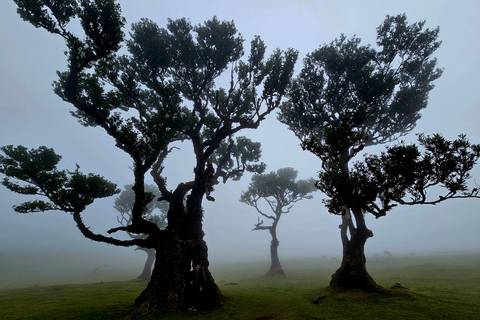 Excursion en jeep dans l&#039;ouest de Madère – Fanal, Seixal, piscines naturelles et petits groupes