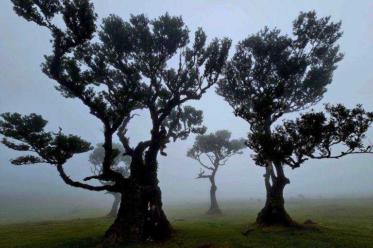 Excursion en jeep dans l&#039;ouest de Madère – Fanal, Seixal, piscines naturelles et petits groupes