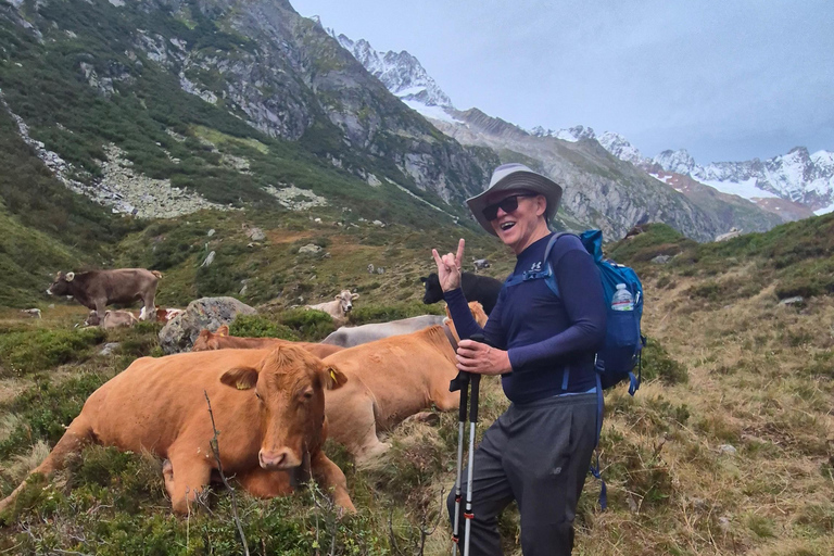 Lucerna: Aventura suiza de 3 días con senderismo y vistas a la montaña