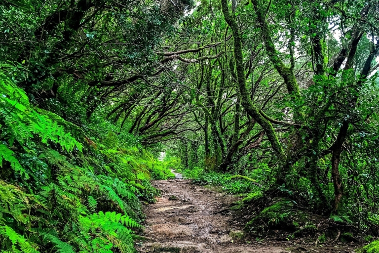 Teneriffa: geführte Tagestour zum Landschaftspark Anaga