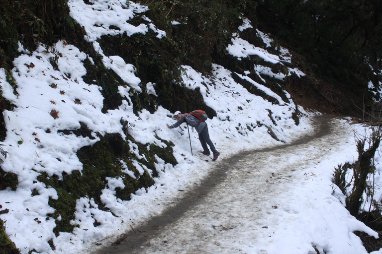 Pokhara: 1 Day Poon Hill Sunrise Hike with Transfer