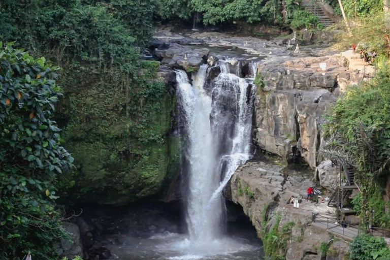 Cascata di Tegenungan: Il paradiso naturale nascosto di Bali