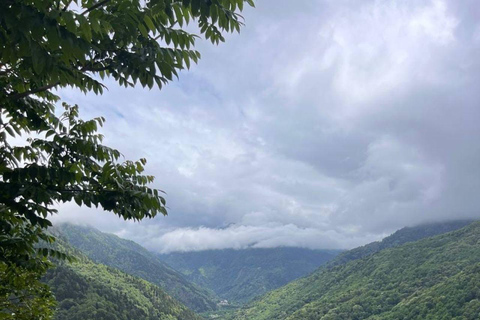 Discover Ajarian mountains with a flavor of wine