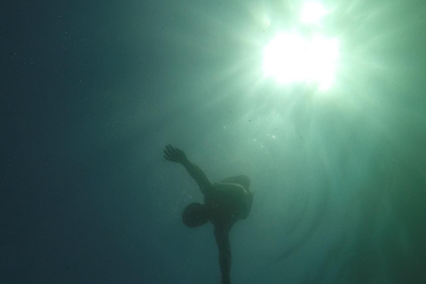 Rio: Schnorcheln & Schwimmen mit Schildkröten Tour auf den Tijuca Inseln3 Stunden Schnorcheln und Schwimmen mit Schildkröten Tour auf den Tijuca Inseln