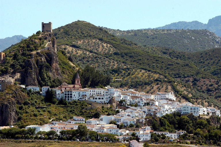 From Seville: White villages & Ronda day trip