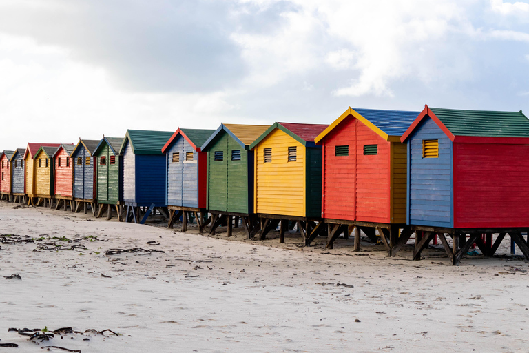 Kaap Schiereiland: Hele dag privé tour