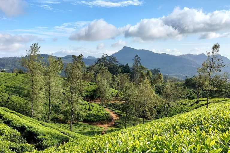 Sri Lanka : Circuit d&#039;aventure panoramique de 12 jours