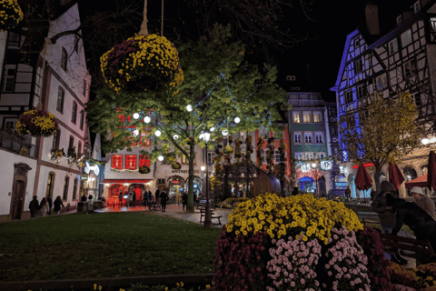 Strasbourg: Christmas Market by Night with Mulled Wine