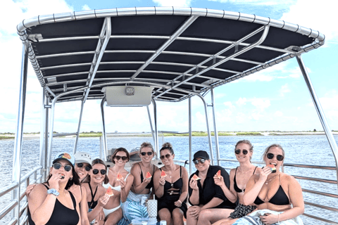 Charleston/Folly Beach: Sandbars & Swimming (BYOB) 3 Hour Private Trip