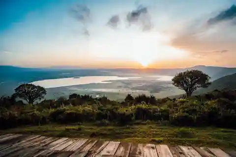 4-Day Safari Experience Discover the Wild
