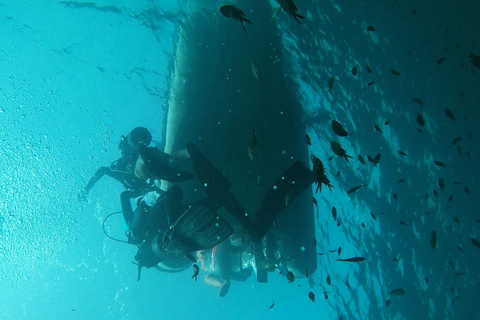 Hammamet: Guided Shore Dive for Beginners with Gear