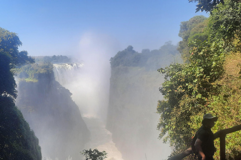 Victoria Falls: Guided tour by local guides Private tour in English