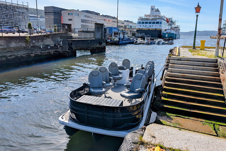 Bergen City Sightseeing Cruise by Lux Pontoon boat