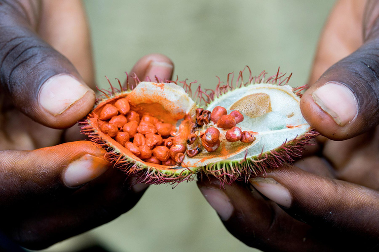 Zanzibar: Spice Tour with Traditional Cooking Class Zanzibar: Spice Tour & Traditional Cooking Class