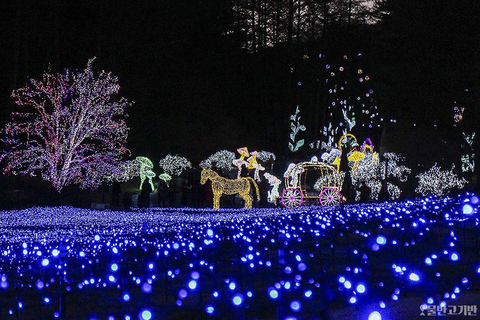 Depuis Séoul : Pêche sur glace et festival des lumières à HwacheonVisite en groupe Rendez-vous à la gare de l&#039;université de Hongik