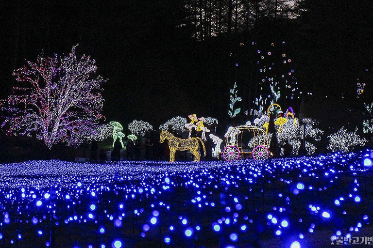 Depuis Séoul : Pêche sur glace et festival des lumières à HwacheonVisite en groupe Rendez-vous à la gare de l&#039;université de Hongik