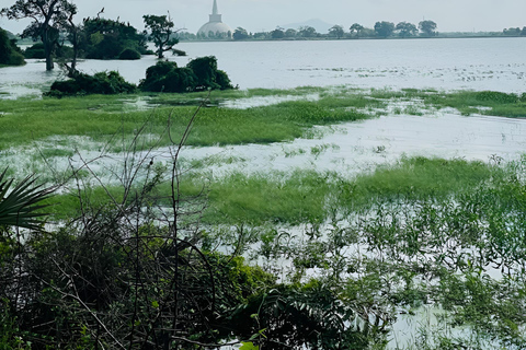 Anuradhapura: Guided Pvt Bike Tour with Lunch & Entry Ticket