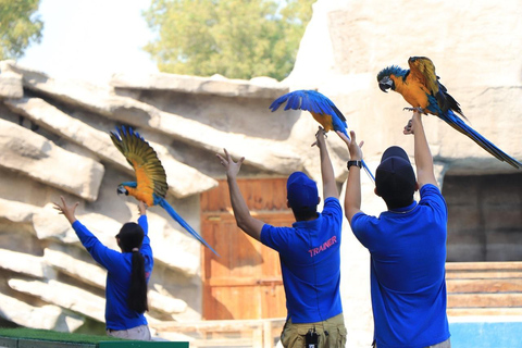 Abu Dhabi : Zoo du parc des Émirats