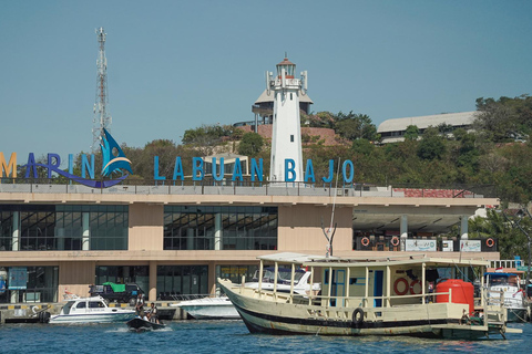 Labuan Bajo: Full-Day Komodo Speedboat Tour with Snorkeling