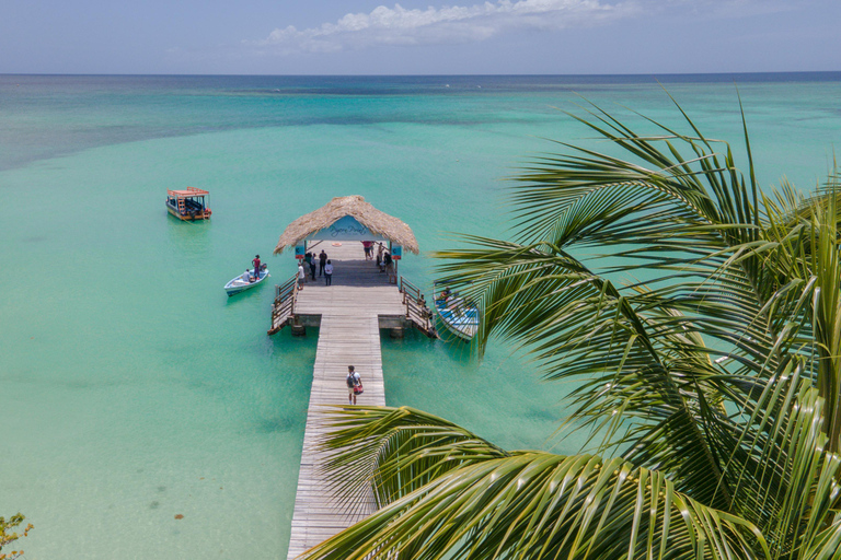Tobago: Island Tour with Rainforest Drive and Scenic Lookout