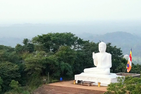 From Colombo: Anuradhapura Private Transfer & Temple Tour