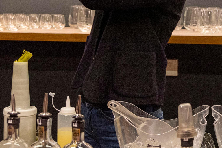 Ljubljana: Broken Bones Gin Experience with Cocktails