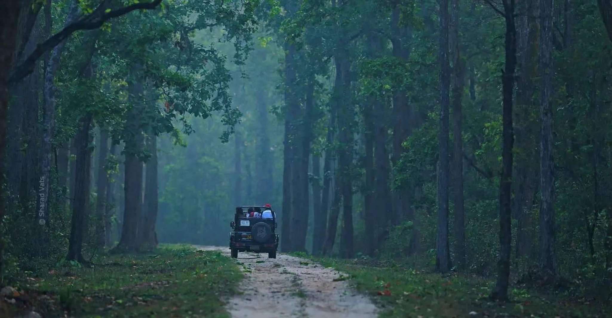 Canter Safari, Skip-the-line Entry Ranthambore Tiger Reserve - Housity