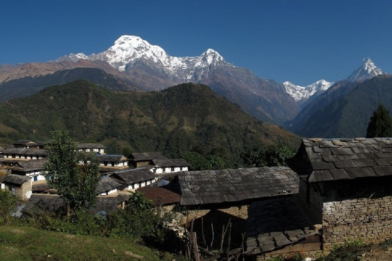 Ghandruk : Trek culturel Gurung de 3 jours au départ de Pokhara