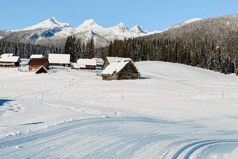 Slovenia: Nordic Backcountry Skiing Adventure Pokljuka: Zajavornik Alpine Meadow