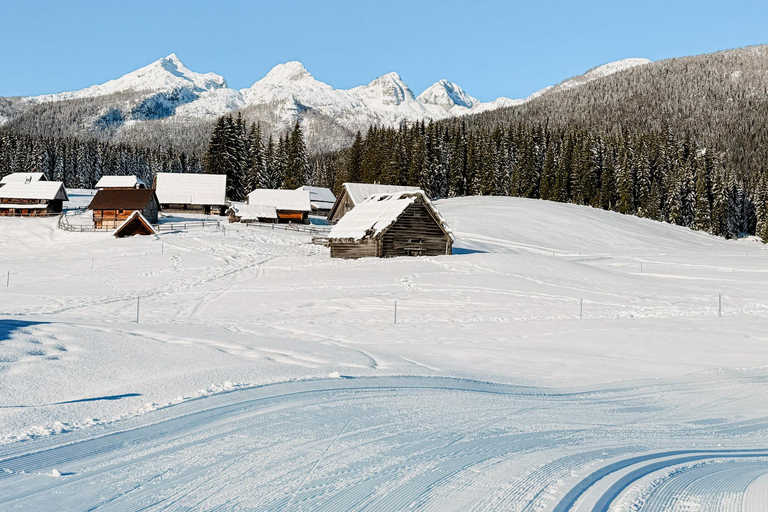 Slovenia: Nordic Backcountry Skiing Adventure Pokljuka: Zajavornik Alpine Meadow