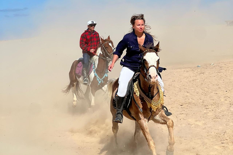 الغردقة: جولة ركوب الخيل في الصحراء والبحر مع خيار السباحةجولة لمدة ساعتين لركوب الخيل بدون السباح