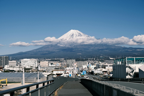 From Tokyo: Mount Fuji Full-Day Customizable & Private Tour Luxury MiniVan (1 upto 6)
