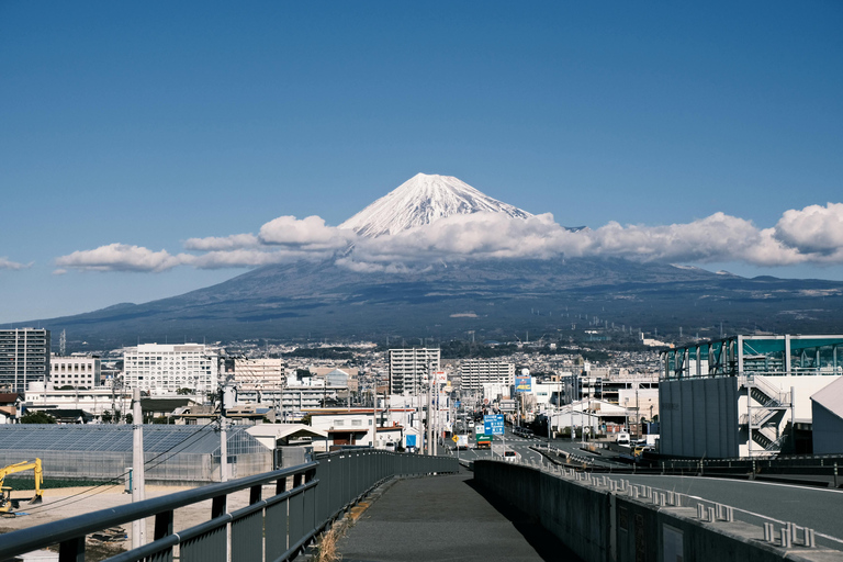 From Tokyo: Mount Fuji Full-Day Customizable & Private Tour Luxury MiniVan (1 upto 6)