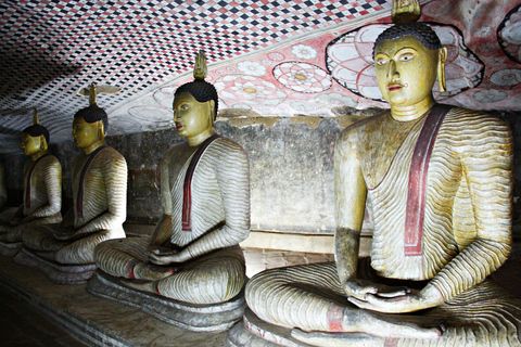 Bandaranaike Airport to Sigiriya Transfer with Highlights
